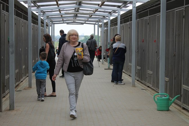 Coraz więcej adopcji - zdjęcia