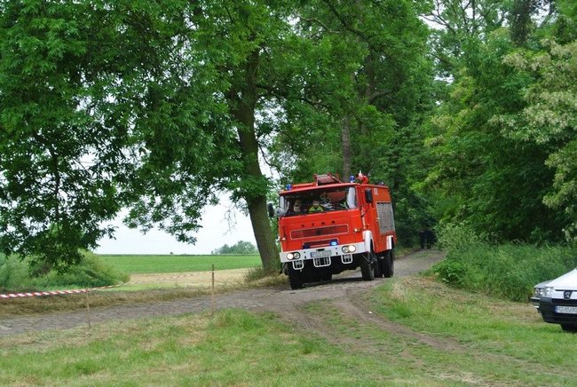 Było gwarnie i kolorowo - zdjęcia