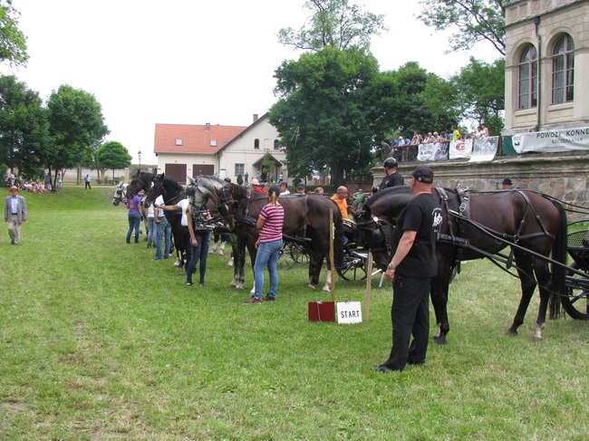 Impreza połączona z pasją - zdjęcia