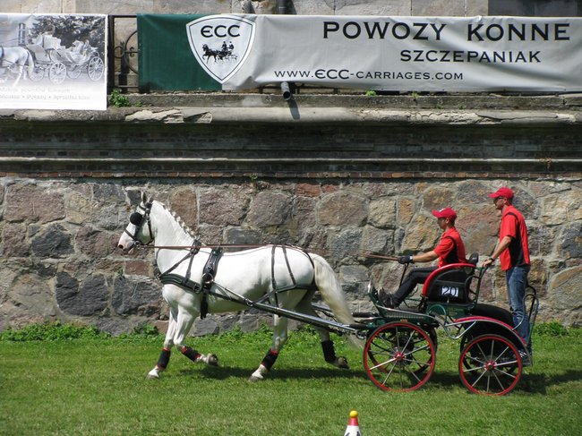 Impreza połączona z pasją - zdjęcia