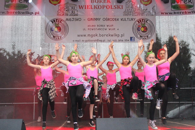 Borek świętował przy disco polo - zdjęcia