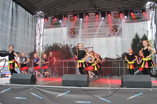 Borek świętował przy disco polo - zdjęcia