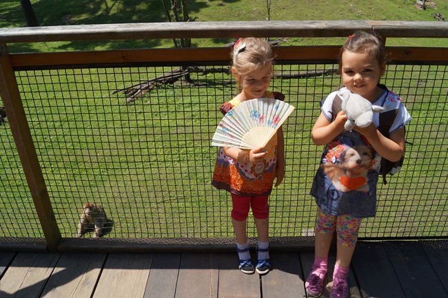 Z wizytą w Afrykarium - zdjęcia