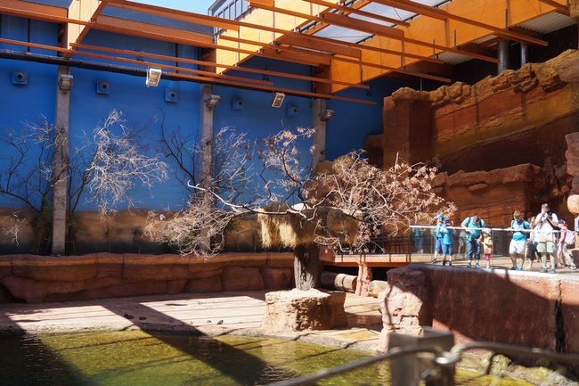 Z wizytą w Afrykarium - zdjęcia