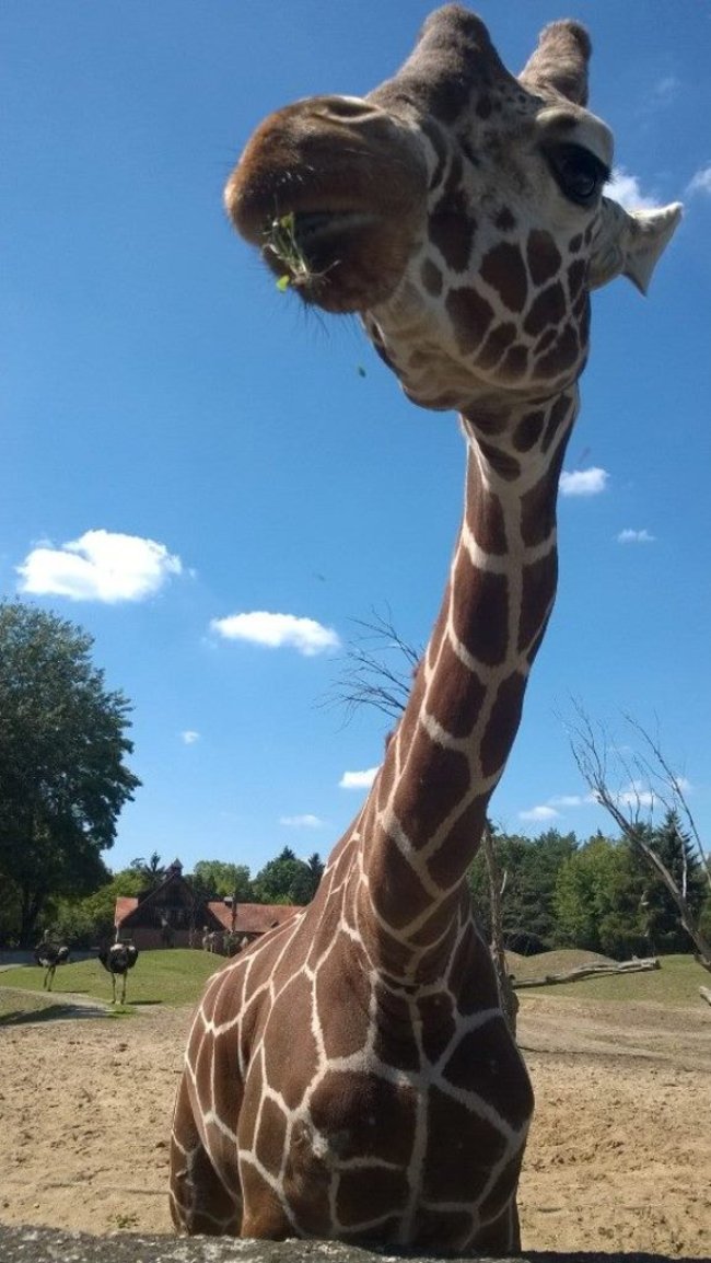 Z wizytą w Afrykarium - zdjęcia