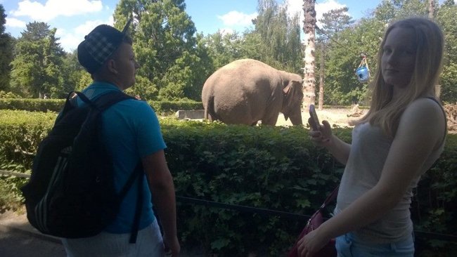 Z wizytą w Afrykarium - zdjęcia