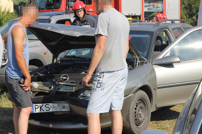 Wszystko przez kamienie? - zdjęcia