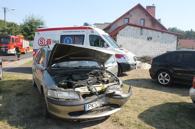 Wszystko przez kamienie? - zdjęcia