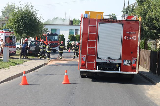Wszystko przez kamienie? - zdjęcia