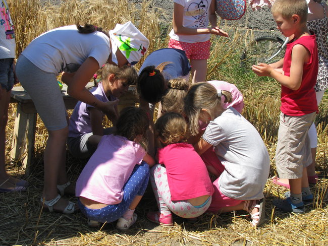 Malowanie na sianie - zdjęcia