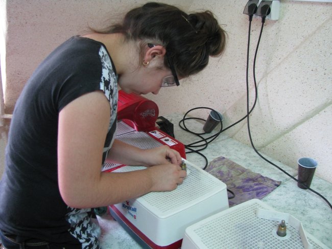 Tworzyli barwne witraże - zdjęcia