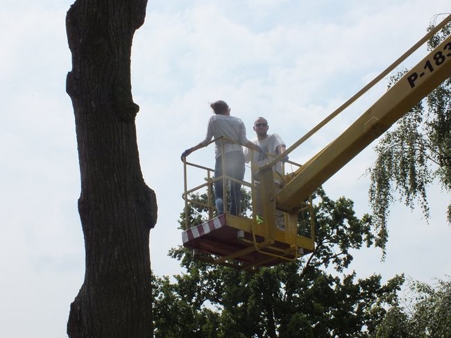 Z wizytą u bocianów - zdjęcia