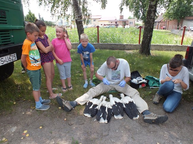 Z wizytą u bocianów - zdjęcia