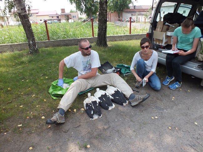 Z wizytą u bocianów - zdjęcia