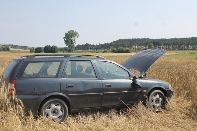 Nie była w szoku, ale pod wpływem - zdjęcia