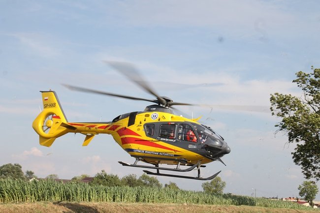 Drzewo runęło na jadący samochód