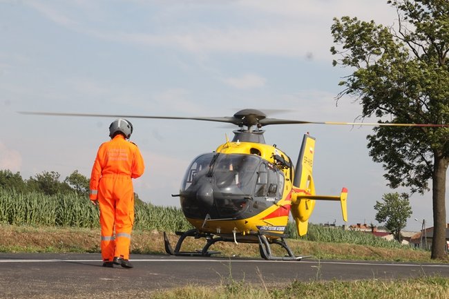 Drzewo runęło na jadący samochód