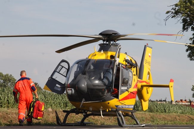 Drzewo runęło na jadący samochód