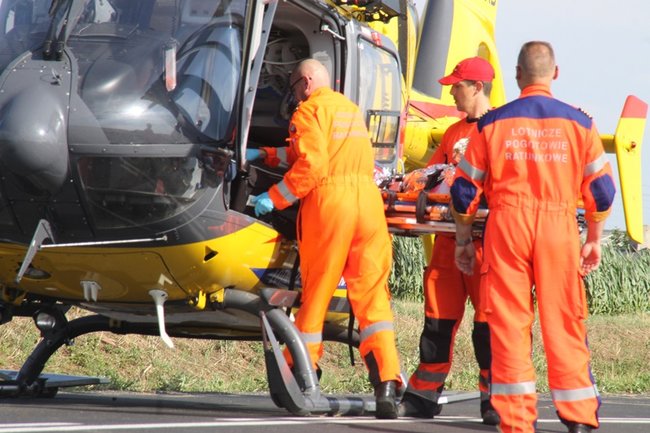 Drzewo runęło na jadący samochód