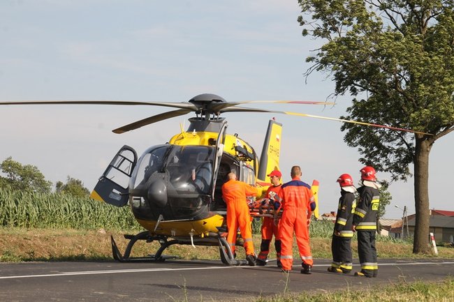 Drzewo runęło na jadący samochód