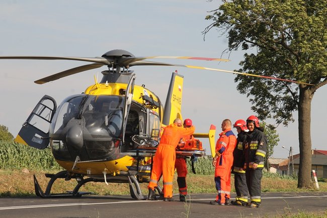 Drzewo runęło na jadący samochód