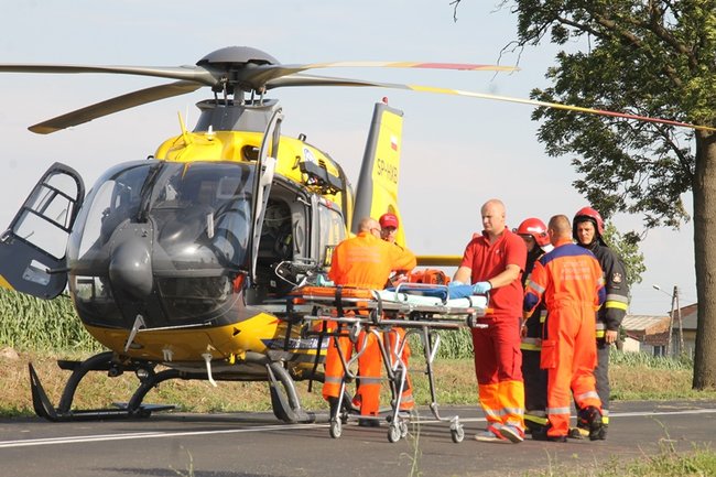 Drzewo runęło na jadący samochód