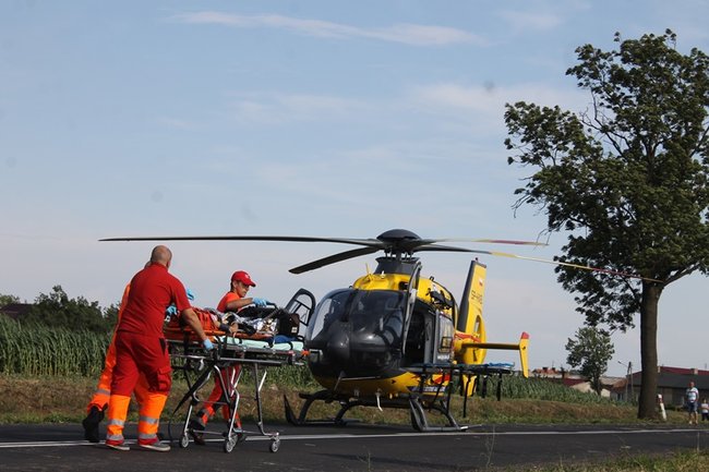 Drzewo runęło na jadący samochód