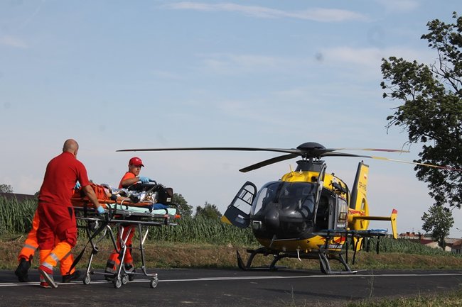 Drzewo runęło na jadący samochód