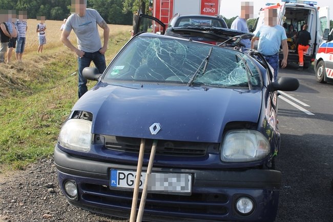 Drzewo runęło na jadący samochód