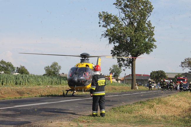 Drzewo runęło na jadący samochód