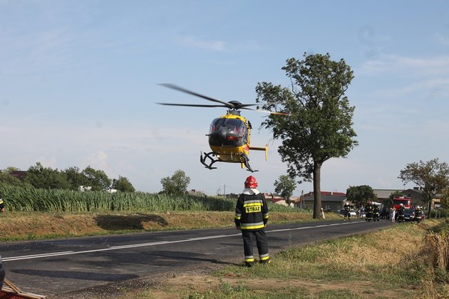 Drzewo runęło na jadący samochód