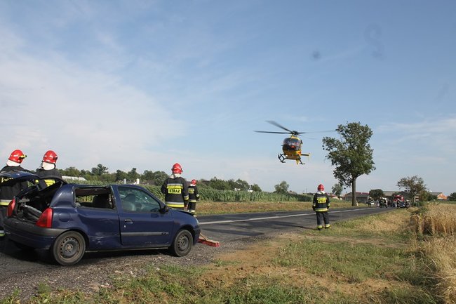 Drzewo runęło na jadący samochód