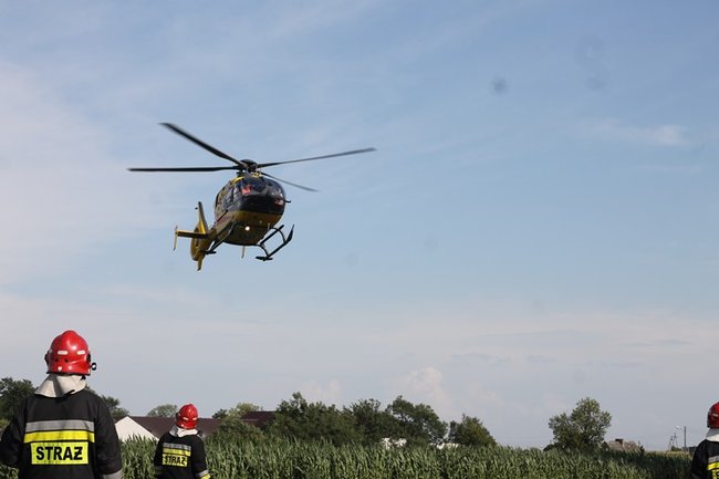 Drzewo runęło na jadący samochód