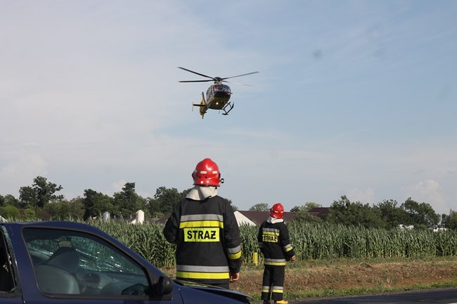 Drzewo runęło na jadący samochód