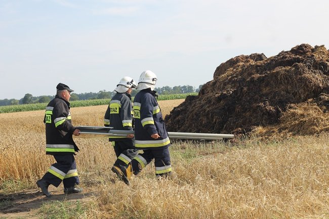Drzewo runęło na jadący samochód