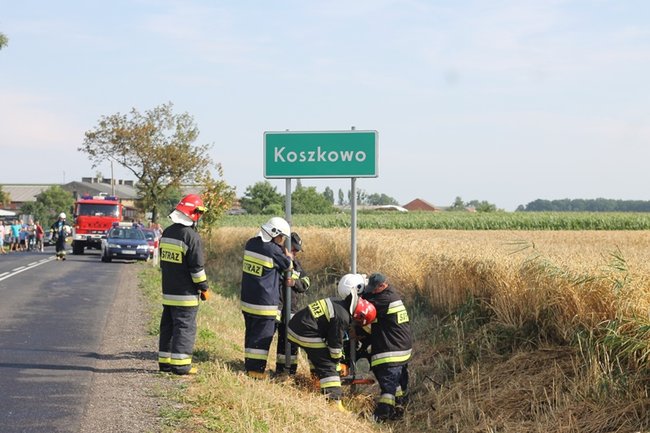 Drzewo runęło na jadący samochód