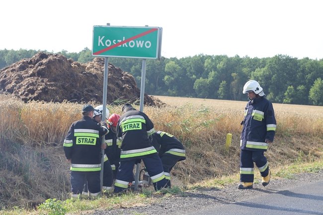 Drzewo runęło na jadący samochód