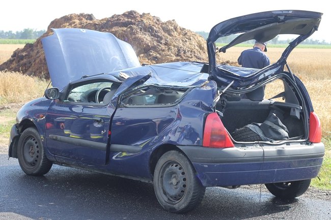 Drzewo runęło na jadący samochód