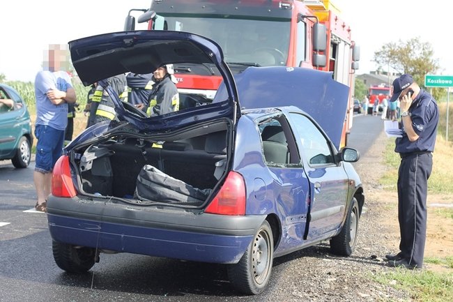 Drzewo runęło na jadący samochód