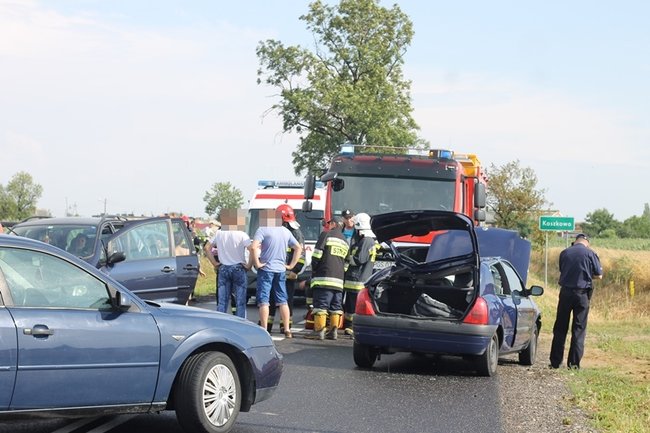 Drzewo runęło na jadący samochód