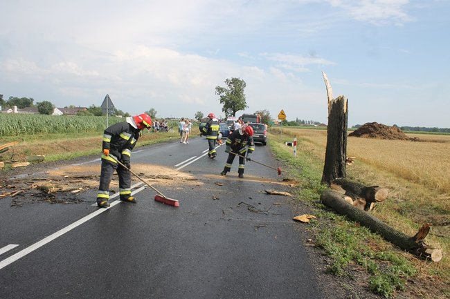 Drzewo runęło na jadący samochód