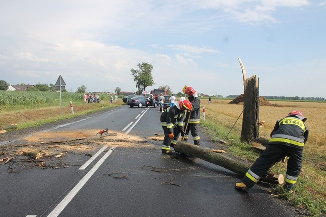 Drzewo runęło na jadący samochód