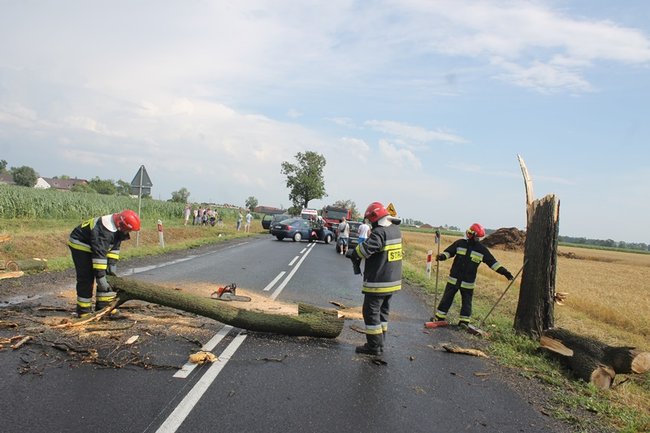 Drzewo runęło na jadący samochód