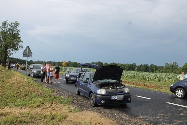 Drzewo runęło na jadący samochód