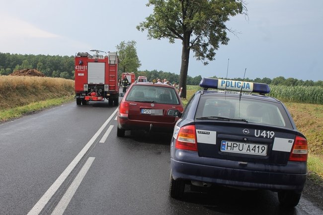 Drzewo runęło na jadący samochód