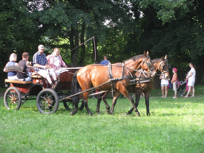 Rodzinny festyn z pomidorówką - zdjęcia