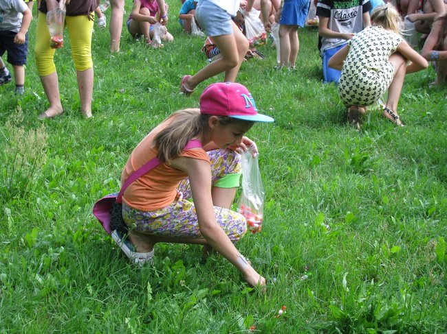 Rodzinny festyn z pomidorówką - zdjęcia