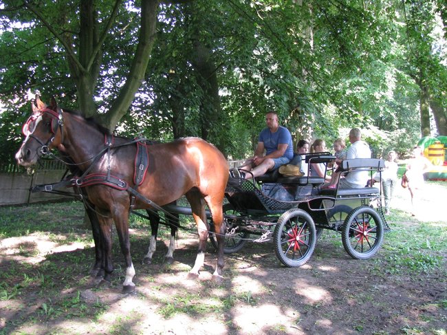 Rodzinny festyn z pomidorówką - zdjęcia