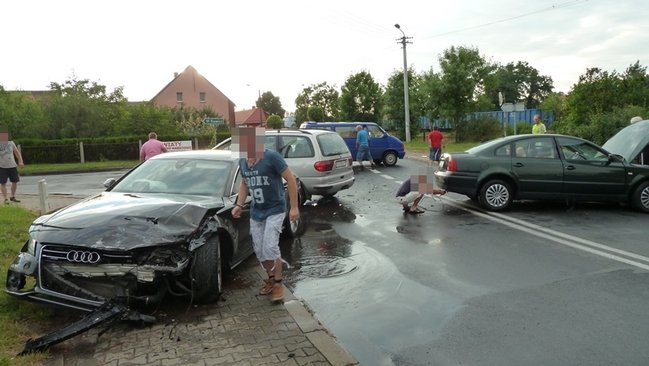 Feralne skrzyżowanie - zdjęcia