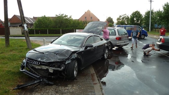 Feralne skrzyżowanie - zdjęcia